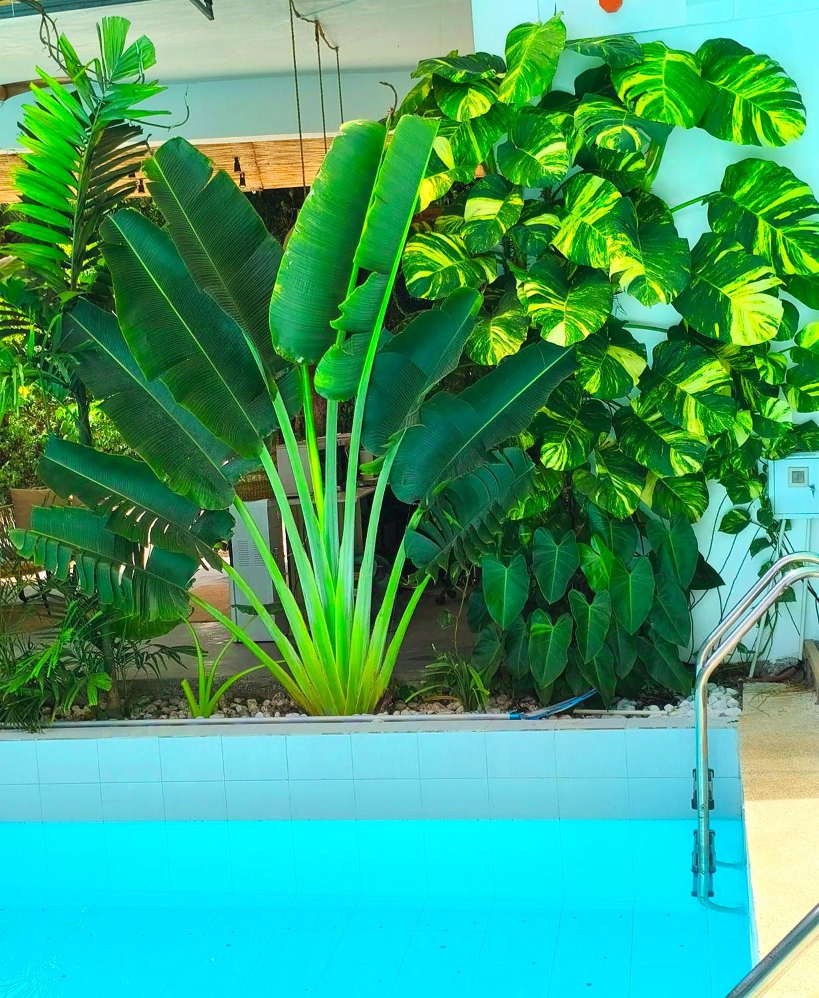 Diving Addiction Resort Panglao Island Exterior photo